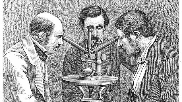 Вводная лекция